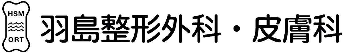 羽島市岐阜羽島駅の整形外科